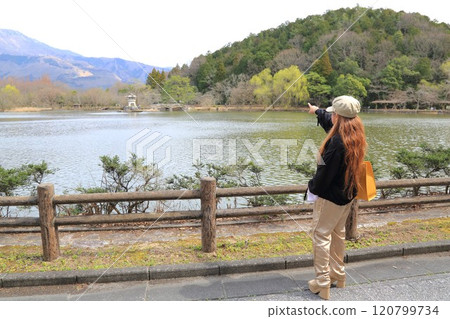 Shiga: Walking around Mishima Pond 8 (Mishima Pond, Maibara City, Shiga Prefecture) Shiga: Walking around Mishima Pond 8 (Mishima Pond, Maibara City, Shiga Prefecture) 120799734
