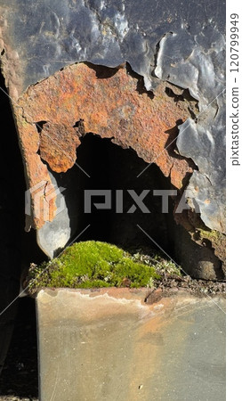 Close-Up of Rusted Metal of car with Lush Green Moss Growth, power of Nature Close-Up of Rusted Metal of car with Lush Green Moss Growth, power of Nature 120799949