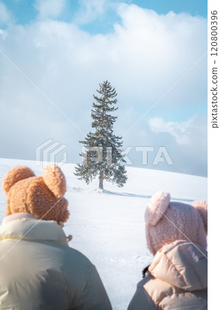 Winter travel snow scene in Biei, Hokkaido, Japan 120800396