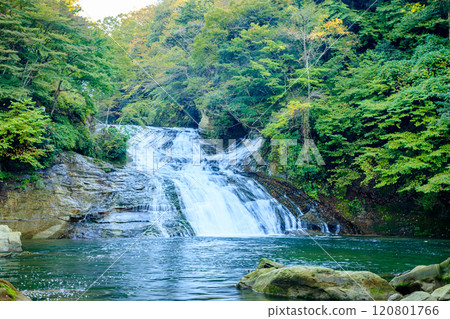 秋天的蒲又瀑布 千葉縣大瀧町 秋天的蒲又瀑布 千葉縣大瀧町 120801766