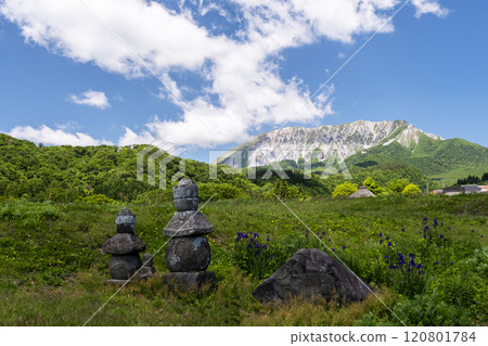 Early summer: fresh greenery in Oku-Daisen 120801784