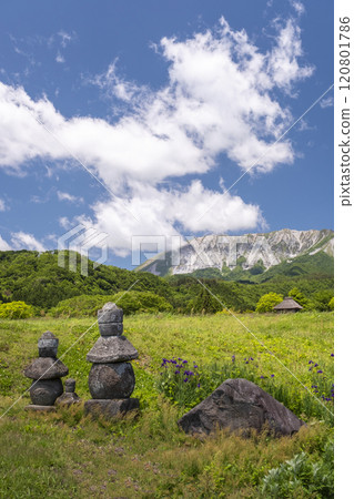 Early summer: fresh greenery in Oku-Daisen 120801786