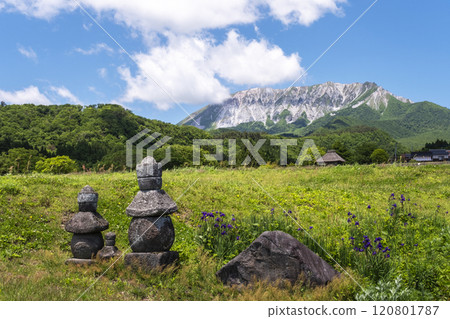 Early summer: fresh greenery in Oku-Daisen 120801787