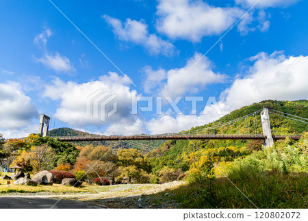 [十川公園]秋風中的風吊橋（神奈川縣秦野市） 120802072