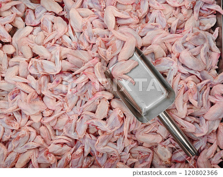 Fresh Chicken Wings Ready for Processing in a Meat Factory Setting 120802366
