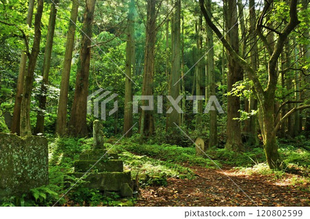Shimane Prefecture: Ruins in the forest Shimane Prefecture: Ruins in the forest 120802599