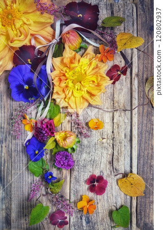 大麗花和紫羅蘭排列在板上 120802937