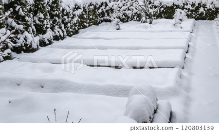Winter vegetable garden with raised beds covered with snow. High quality photo 120803139