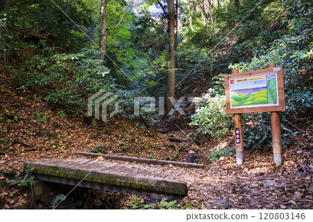 高尾琵琶瀧路線(國道6號線)登山路線從小山橋至第一橋 11月下旬 高尾琵琶瀧路線(國道6號線)登山路線從小山橋至第一橋 11月下旬 120803146