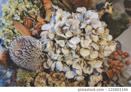Dried hydrangea flower Dried hydrangea flower 120803166