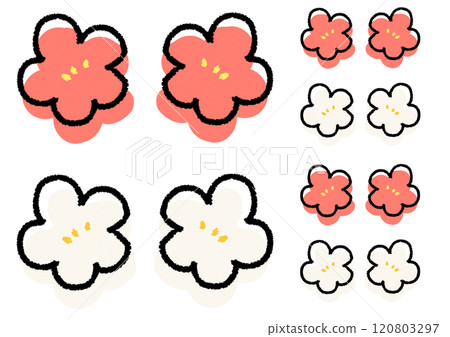 A simple and cute deformed illustration set of red and white plum blossoms A simple and cute deformed illustration set of red and white plum blossoms 120803297