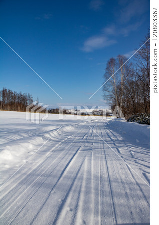 郊區雪路和藍天 120803362