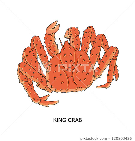 帝王蟹線描插圖 帝王蟹線描插圖 120803426