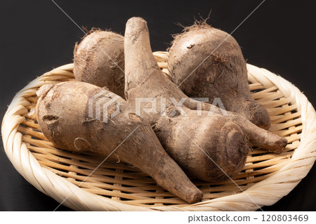 [大阪府產]蝦地瓜 120803469