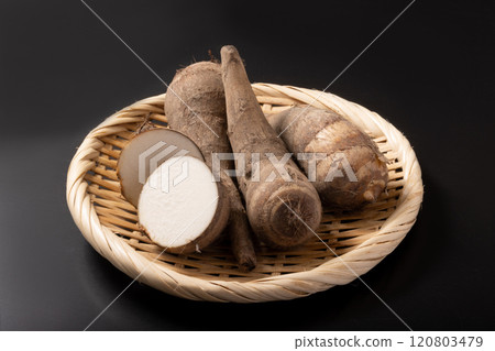 [大阪府產]蝦地瓜 120803479