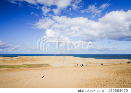 Scenery of Tottori Sand Dunes and blue sky in Tottori Prefecture 120803670