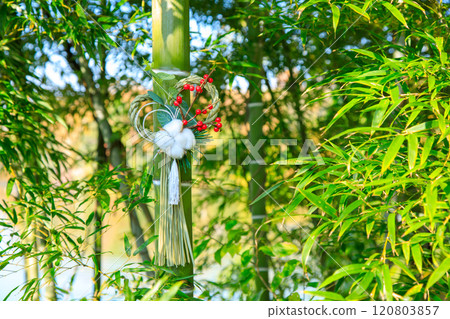 Shrimp decoration Shrimp decoration 120803857