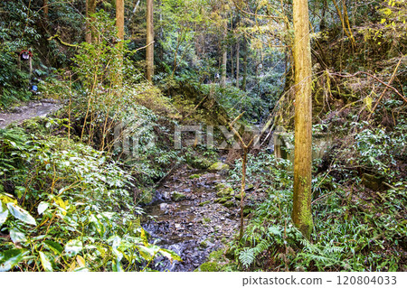 高尾山琵琶瀧路線（國道6號線） 攀登琵琶瀧路線 11月下旬 120804033