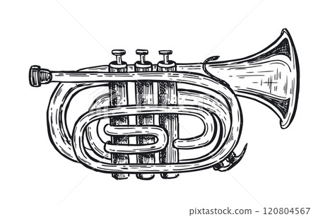 Trumpet, musical instruments, hand drawn illustration. Vector.	 120804567