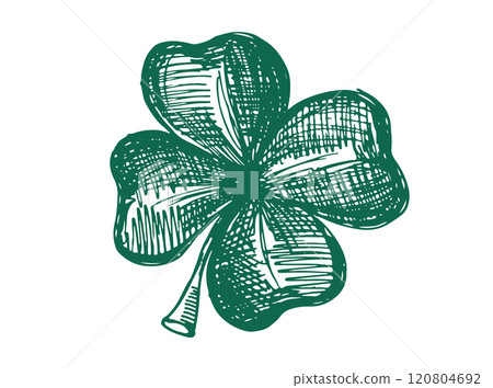 Clover set, St. Patrick's Day. Hand drawn illustrations. Vector.	 120804692