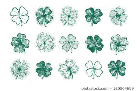 Clover set, St. Patrick's Day. Hand drawn illustrations. Vector.	 120804699