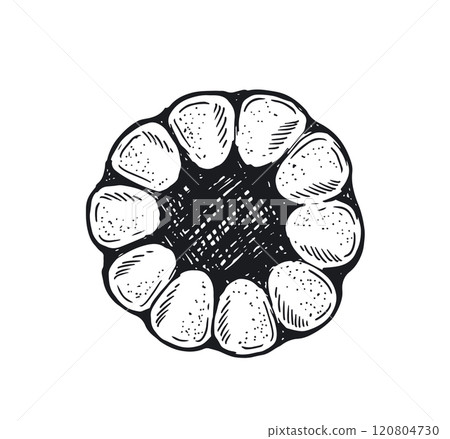 cookie, gingerbread, sketch 120804730