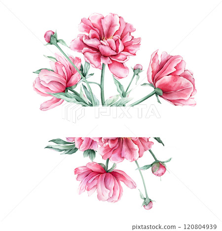 Frame watercolor summer pink peony flowers with space for text. Hand drawn illustration frame beautiful floral succulent flowers. Hand drawn texture with botanical plant 120804939