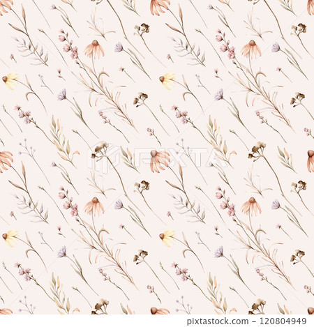 Seamless pattern with wild flowers in beige tones. Echinacea branches herbs on a white background, delicate, floral pattern. Autumn floral watercolor hand drawn illustration. floral pastel color Seamless pattern with wild flowers in beige tones. Echinacea branches herbs on a white background, delicate, floral pattern. Autumn floral watercolor hand drawn illustration. floral pastel color 120804949