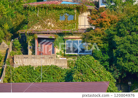 An old abandoned house covered in ivy in an urban area of Kanagawa Prefecture 120804976