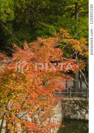 Banshu Kiyomizu-dera Temple in autumn colors 120805280