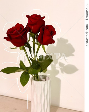 玫瑰的時尚照片 玫瑰的時尚照片 120805499
