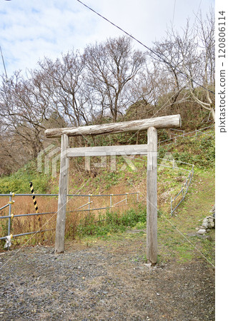 Photographing the scenery of Ainuma Ryujin Shrine in Kumaishi, Yakumo-cho, Hokkaido in winter Photographing the scenery of Ainuma Ryujin Shrine in Kumaishi, Yakumo-cho, Hokkaido in winter 120806114