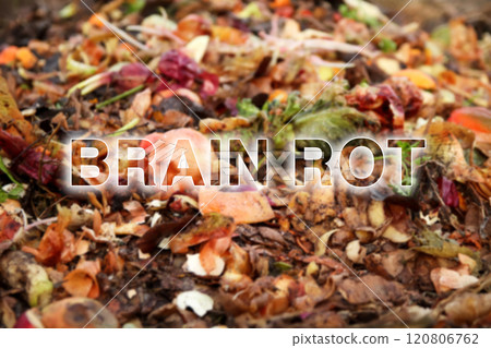 Compost background close up. Brain rot concept. Oxford Word of the Year 2024 Compost background close up. Brain rot concept. Oxford Word of the Year 2024 120806762