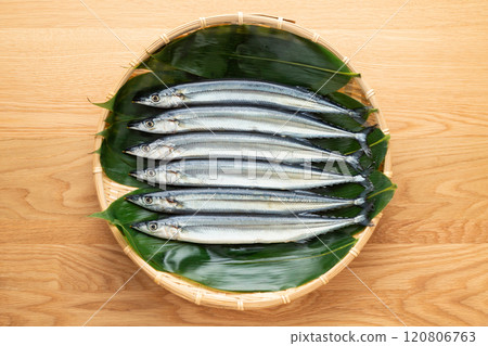 新鮮生秋刀魚 新鮮生秋刀魚 120806763