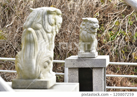 拍攝北海道乙部町三谷八幡神社境內的冬季風景 拍攝北海道乙部町三谷八幡神社境內的冬季風景 120807259