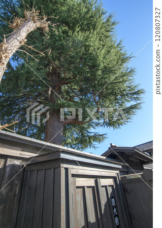 內置結構城鎮中的巨樹：秋田縣橫手市增田 120807327