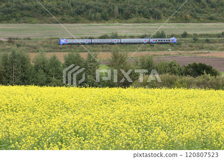 確認廢止 石北幹線 臨時特快 大雪特急 大雪喜波 283系列 283系列 120807523