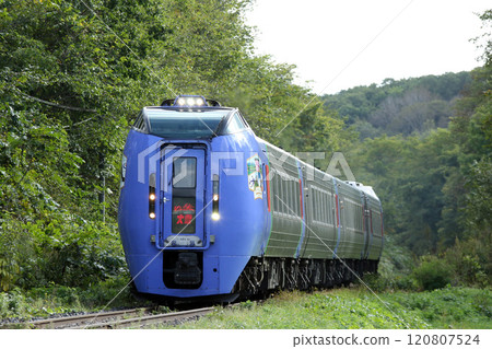 Discontinued Sekihoku Main Line Special Express Daisetsu Kiha 283 Series 283 Series 120807524