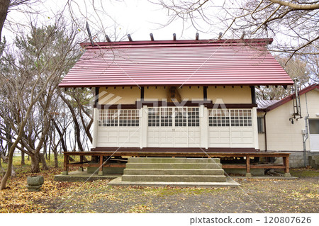 拍攝北海道乙部町元和八幡神社境內的冬季風景 120807626