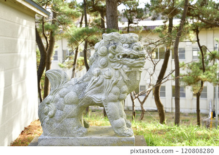 Photographing the grounds of Sakaehama Hachiman Shrine in Otobe, Hokkaido in winter Photographing the grounds of Sakaehama Hachiman Shrine in Otobe, Hokkaido in winter 120808280