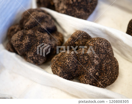 Black truffles on display at the market 120808305