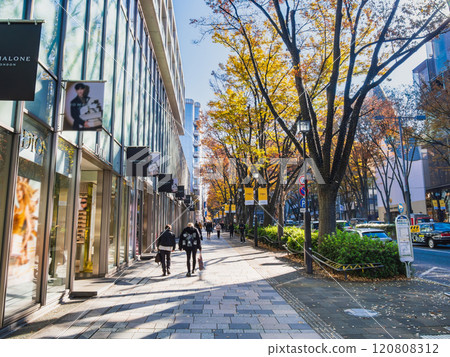 Harajuku Omotesando in autumn: Morning view Harajuku Omotesando in autumn: Morning view 120808312