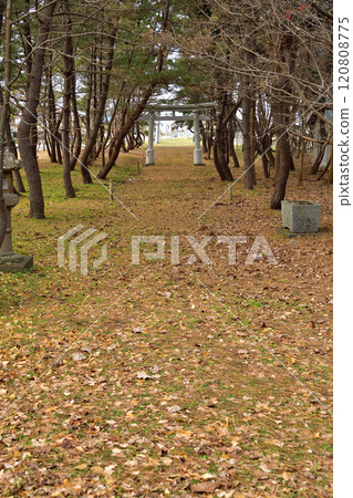 拍攝北海道乙部町鳥山神社境內的冬季風景 拍攝北海道乙部町鳥山神社境內的冬季風景 120808775