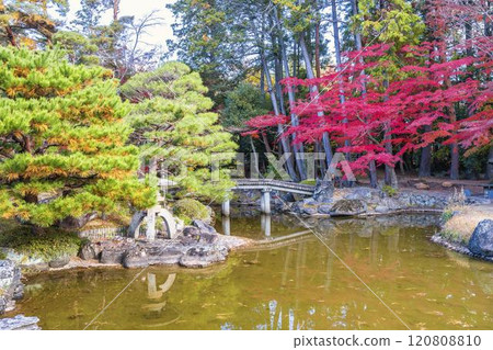 深秋的日本庭園，秋葉 120808810