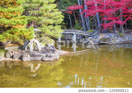 深秋的日本庭園，秋葉 120808811