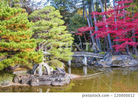 深秋的日本庭園，秋葉 120808812