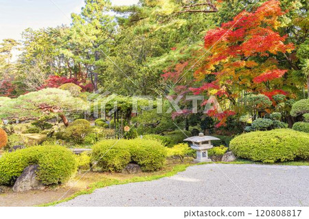 深秋的日本庭園，秋葉 120808817