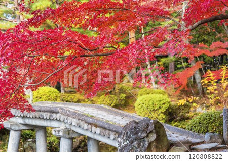 Late autumn Japanese garden: Autumn leaves Late autumn Japanese garden: Autumn leaves 120808822