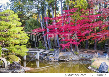 Late autumn Japanese garden: Autumn leaves 120808834