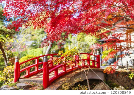 深秋的日本庭園，秋葉 120808849